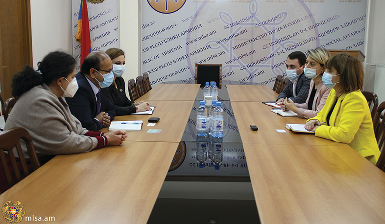 Տաթևիկ Ստեփանյանն ԱՀԿ ներկայացուցչի հետ հանդիպմանն անդրադարձել է հաշմանդամություն ունեցող անձանց համար փոքր տների մոդելի ներդրմանը