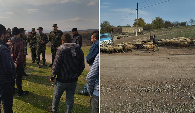 Azərbaycanlılar Kornidzor sakininin 106 baş qoyununu geri qaytarıblar