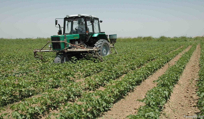 2022-ին գյուղատնտեսական ոլորտում իրականացվելիք ծրագրերի համար նախատեսվել է շուրջ 23.5 միլիարդ դրամ