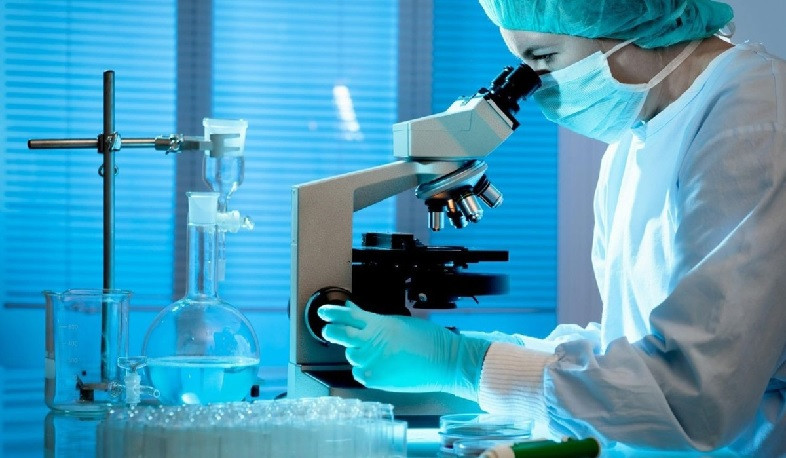 Պատրաստ են «Տաշիր պիցցա»-ից վերցված նմուշների լաբորատոր հետազոտության արդյունքները