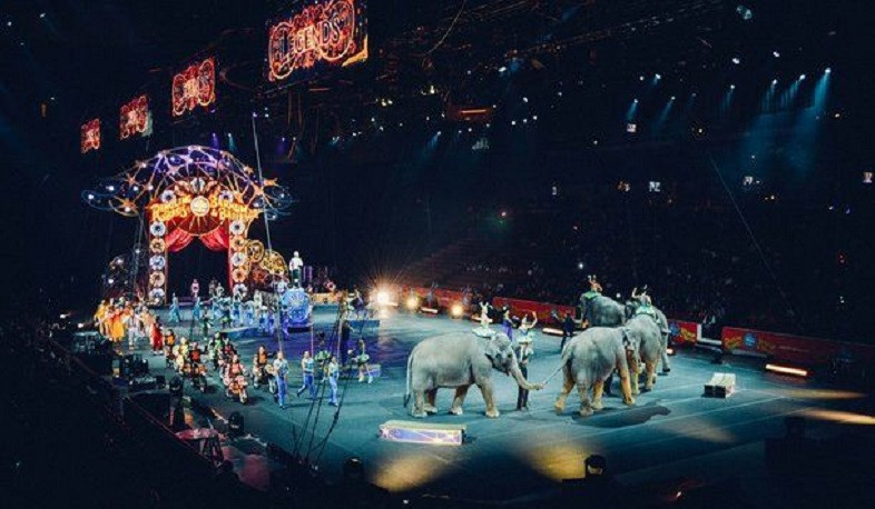 Առաջարկվում է արգելել վայրի կենդանիների օգտագործումը կրկեսներում