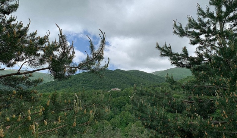 Շրջակա միջավայրին շուրջ 39 մլն դրամի վնաս է հասցվել. ԲԸՏՄ