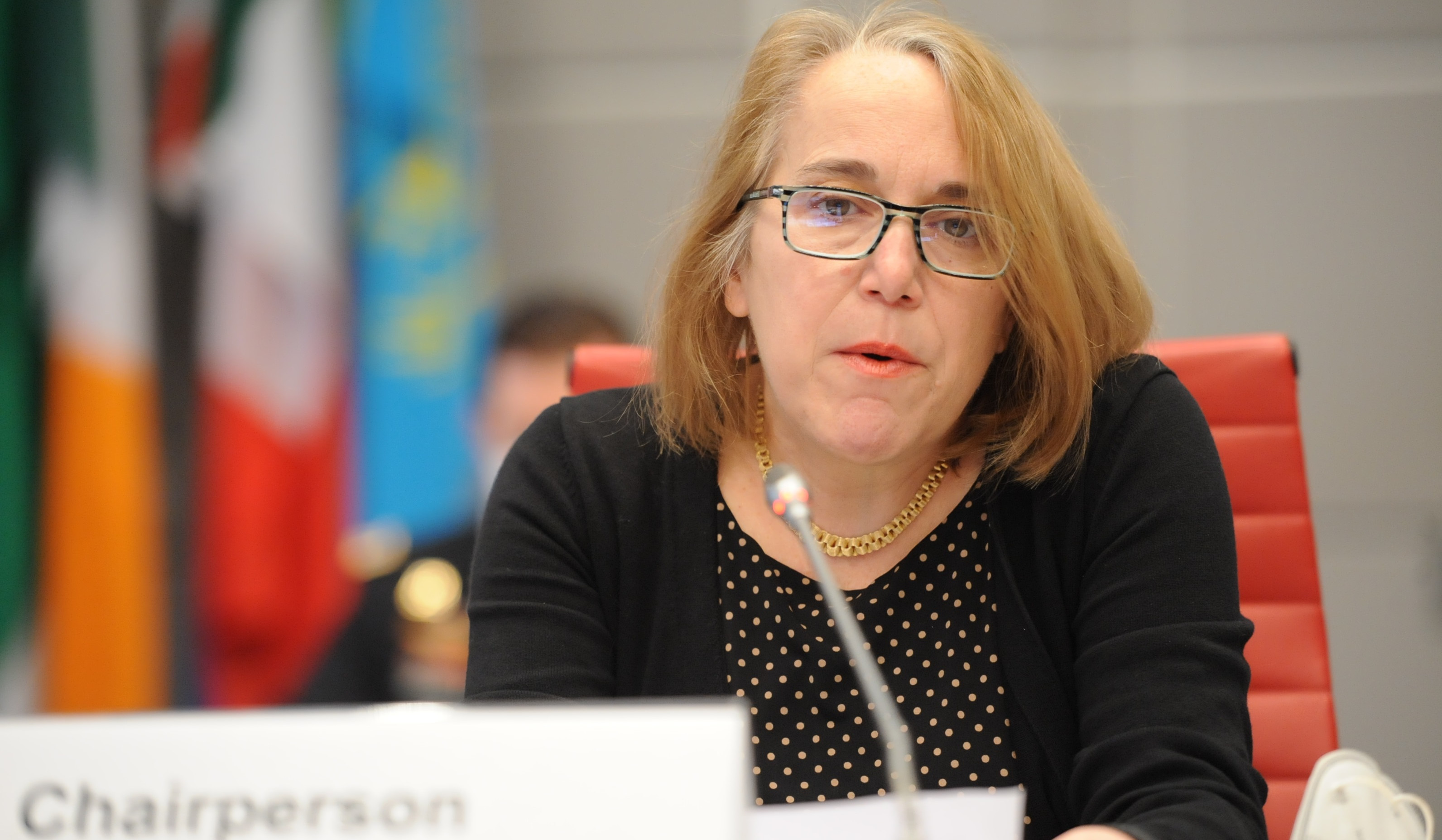 ԼՂ հակամարտության համատեքստում առկա խնդիրները ռազմական լուծում չեն կարող ունենալ. ԵԱՀԿ-ում ԱՄՆ ներկայացուցիչ