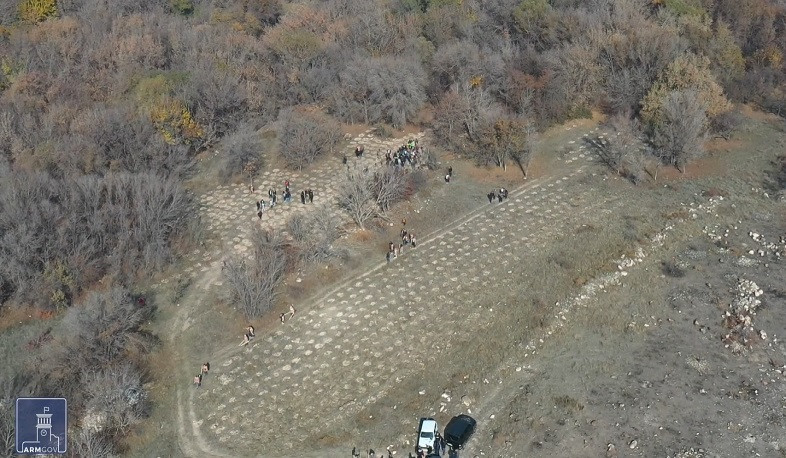 Մեր անտառները հարստացել են 250 հազարից ավելի տնկիով