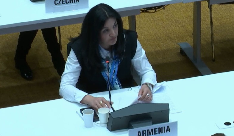 Լենա Նանուշյանը մասնակցում է Առողջապահության համաշխարհային ասամբլեայի երկրորդ նստաշրջանին