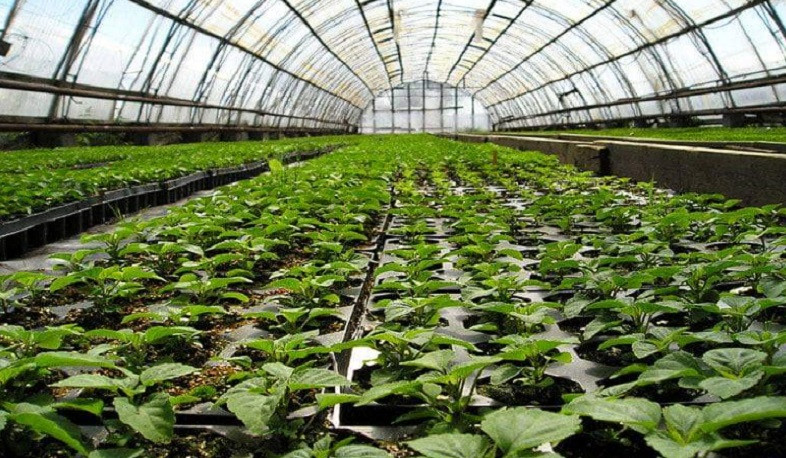 Արագածոտնի մարզում ջերմատնային տնտեսություն կկառուցվի