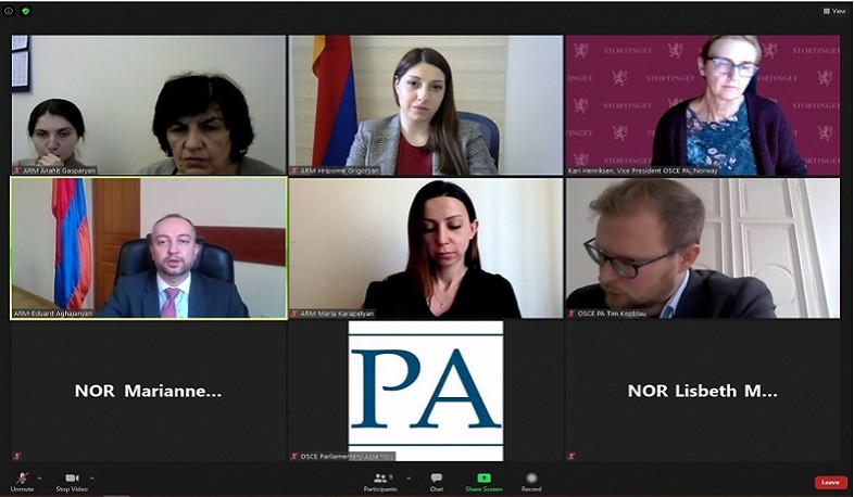 ԱԺ ԵԱՀԿ ԽՎ պատվիրակության անդամներն առցանց ձևաչափով հանդիպել են Հարավային Կովկասում ԵԱՀԿ ԽՎ հատուկ ներկայացուցչի հետ