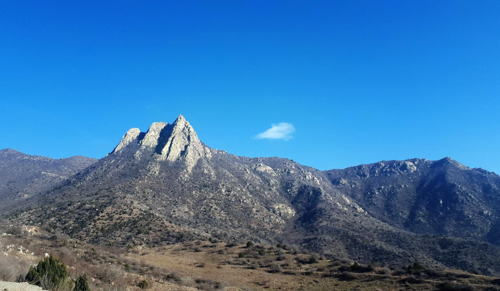 ԲԸՏՄ հաշվետվությունը դեկտեմբերի 13-24-ը ժամանակահատվածում կատարված աշխատանքների վերաբերյալ