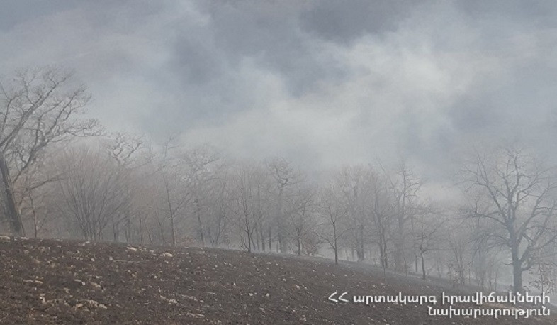 Հրդեհ՝ «Դիլիջան ազգային պարկի» տարածքում. այրվել է խոտածածկույթ