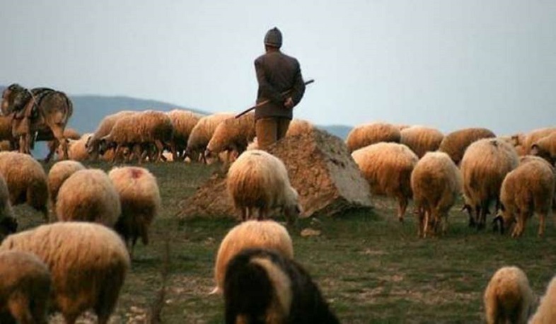 Ադրբեջանը ռուս խաղաղապահներին է փոխանցել հայ հովվին