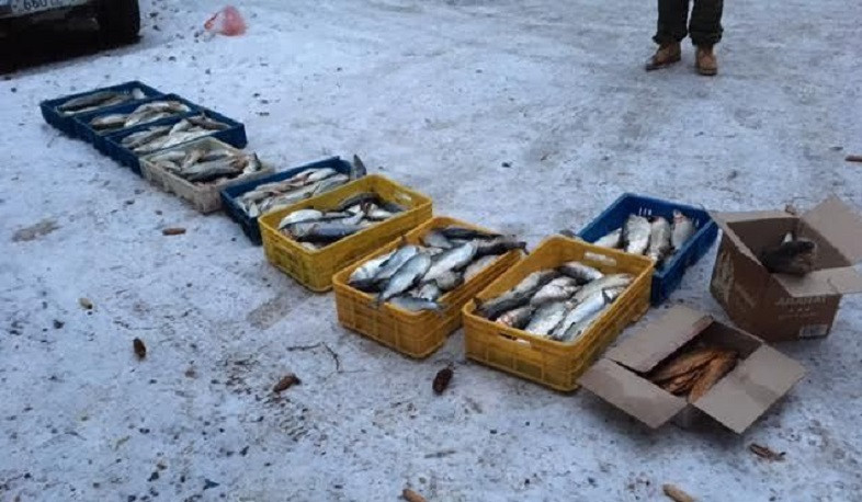 Որսագողության դեպքեր են բացահայտվել