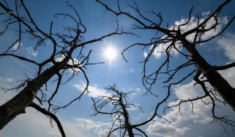 Օդի ջերմաստիճանը հունվարի 19-ի գիշերը կբարձրանա 10-12 աստիճանով, 21-ի գիշերը նույնքանով կնվազի