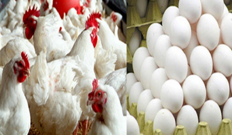 Չեխիայից և Լեհաստանից արգելվել է ներմուծել կենդանի թռչուն, թռչնամթերք, ձու. ՍԱՏՄ