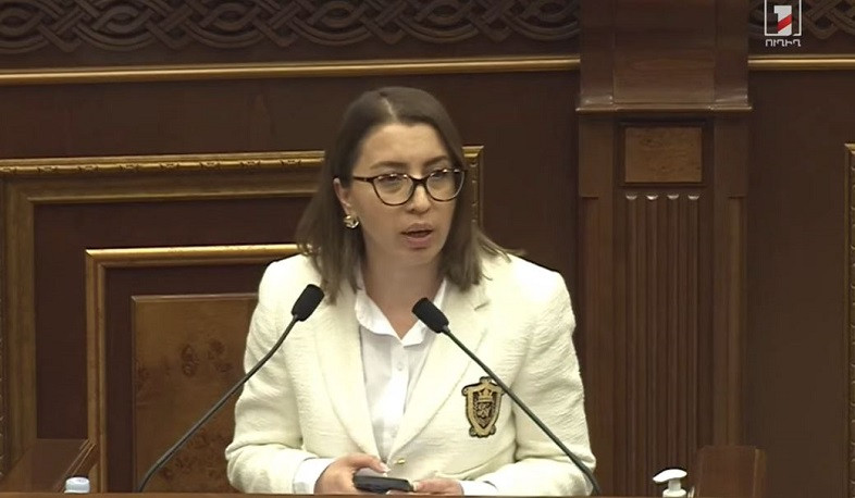 Ունենք պրոֆեսիոնալ, բարեվարք, մասնագիտական իրավապահ ծառայություն. Գրիգորյանը՝ պարեկային ծառայության մասին