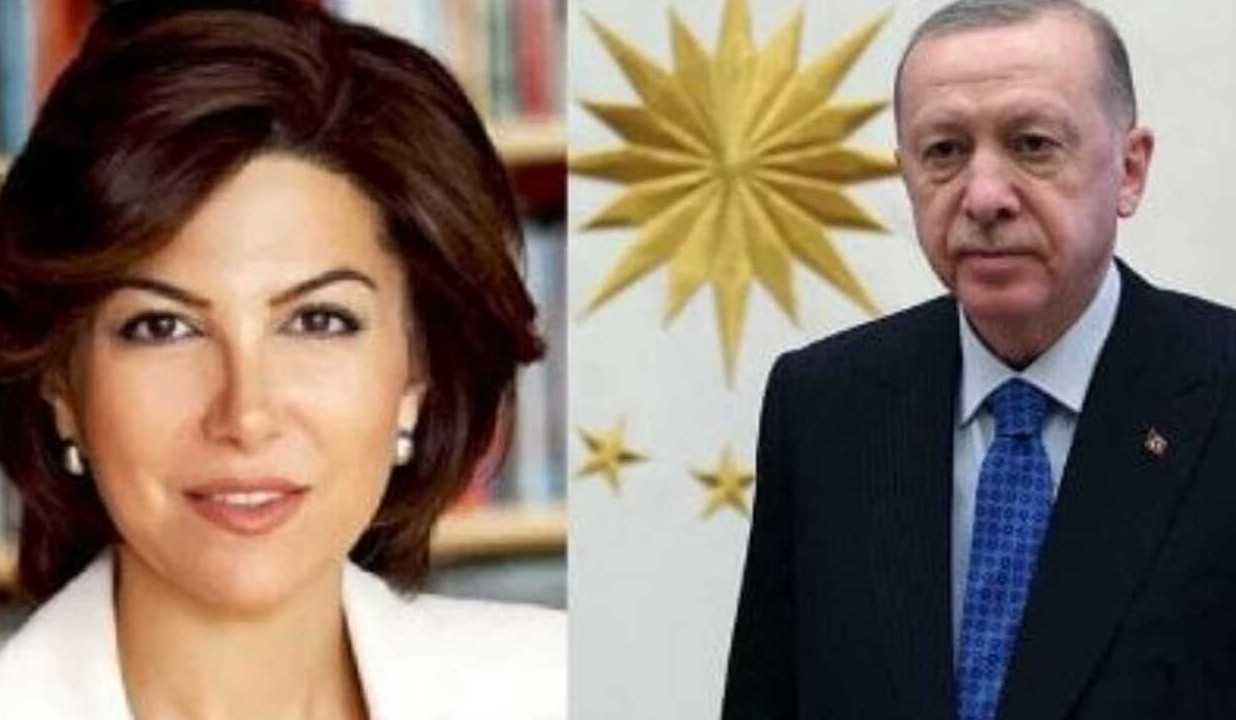 Turkish journalist arrested, charged with insulting Erdogan