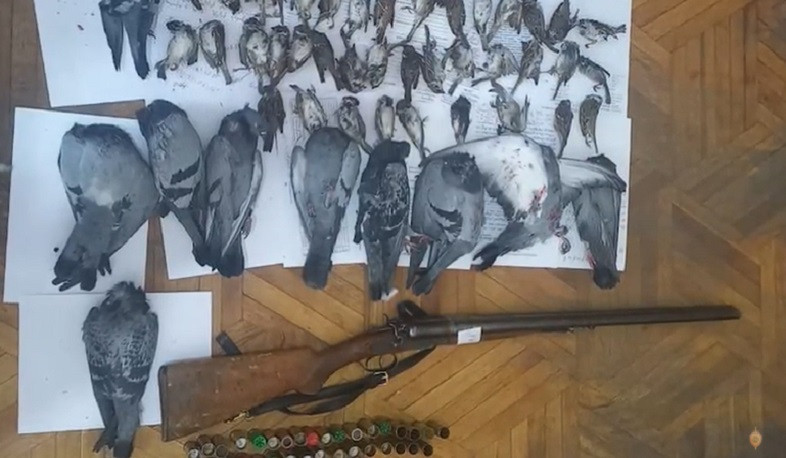 Անօրինական զենքով ապօրինի որս էր արել ու բռնվել. Գավառի ոստիկանների բացահայտումը