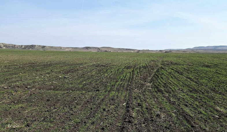 Կառավարությունը հավանություն տվեց հողամասը մեկից ավելի անգամ ընդլայնելու հնարավորության մասին փոփոխությանը