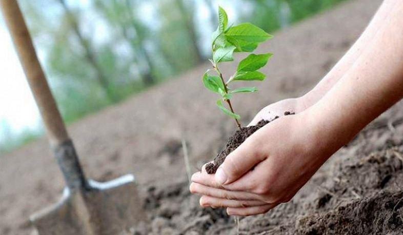 Մարտի 21-ը կնշվի որպես անտառագետի, իսկ մարտի 22-ը՝ ջրաբանի մասնագիտական օր