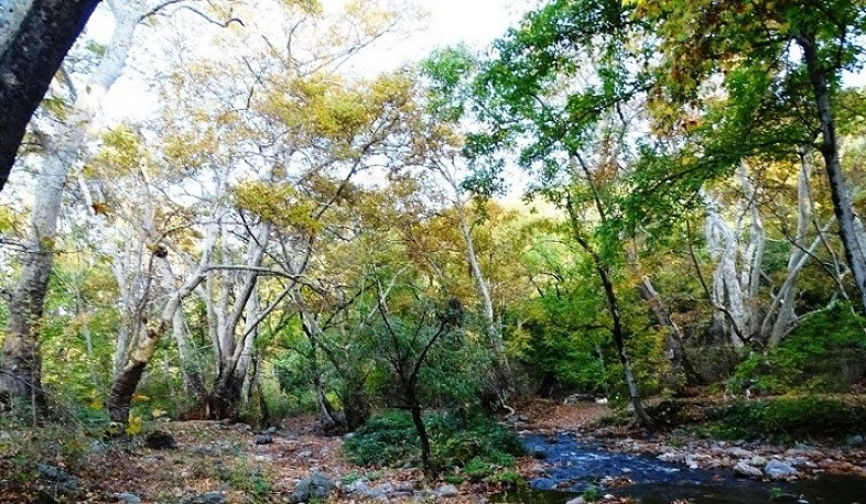 ԲԸՏՄ-ն հաշվարկել է շրջակա միջավայրին հասցված 38 մլն դրամի վնաս