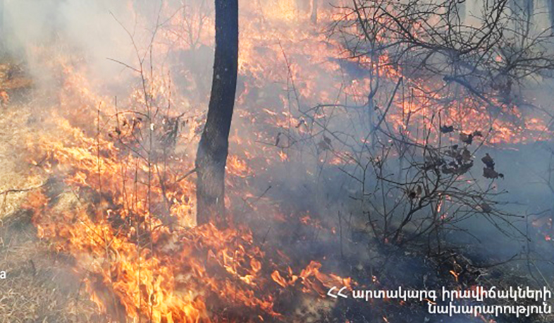 Հրդեհ՝ «Դիլիջանի ազգային պարկի» տարածքում. այրվել է խոտածածկույթ, ջերմահարվել է մոտ 120 եղևնի