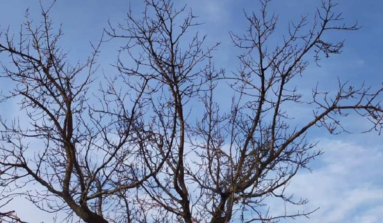 Օդի ջերմաստիճանը կնվազի 4-6 աստիճանով