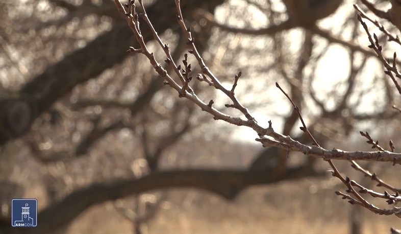 Մեկնարկել է գյուղապահովագրության պայմանագրերի կնքման գործընթացը