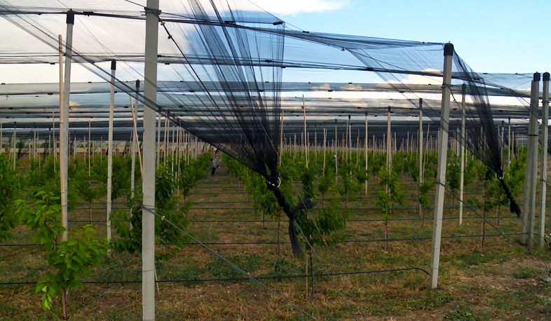 Արտոնություններ են տրամադրվել հերթական ներդրումային ծրագրերին