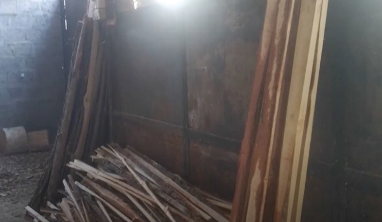 Ապօրինի հատվել է 46 ծառ. մեկ անձ ձերբակալվել է