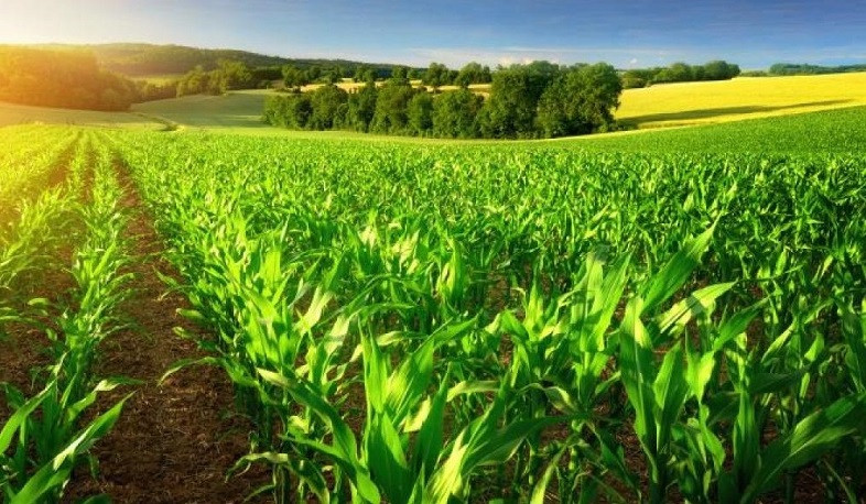 Հաստատվել է գյուղատնտեսական սեզոնի մեկնարկի հարցերով աշխատանքային խմբի կազմը