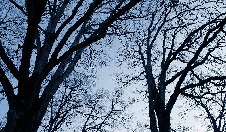 Օդի ջերմաստիճանն էապես չի փոխվի