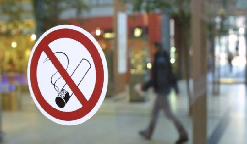 Անհրաժեշտություն է առաջացել վերանայել գործող օրենքով նախատեսված «ծխախոտային արտադրատեսակի փոխարինիչ» հասկացությունը. Նանուշյան