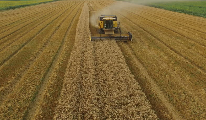 Հացահատիկի արտադրության մեր ներքին ռեսուրսները կամ հնարավորությունները պակասել են, բայց այլ ձևերով այդ պակասը կլրացվի. Խաչատուրյան