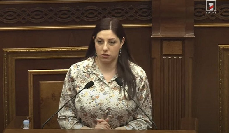 Մեր միջազգային գործընկերները պետք է անհապաղ քայլեր ձեռնարկեն. պատգամավորը՝ Արցախում հումանիտար իրավիճակի մասին