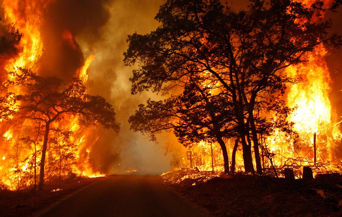 Texas is battling over 170 wildfires