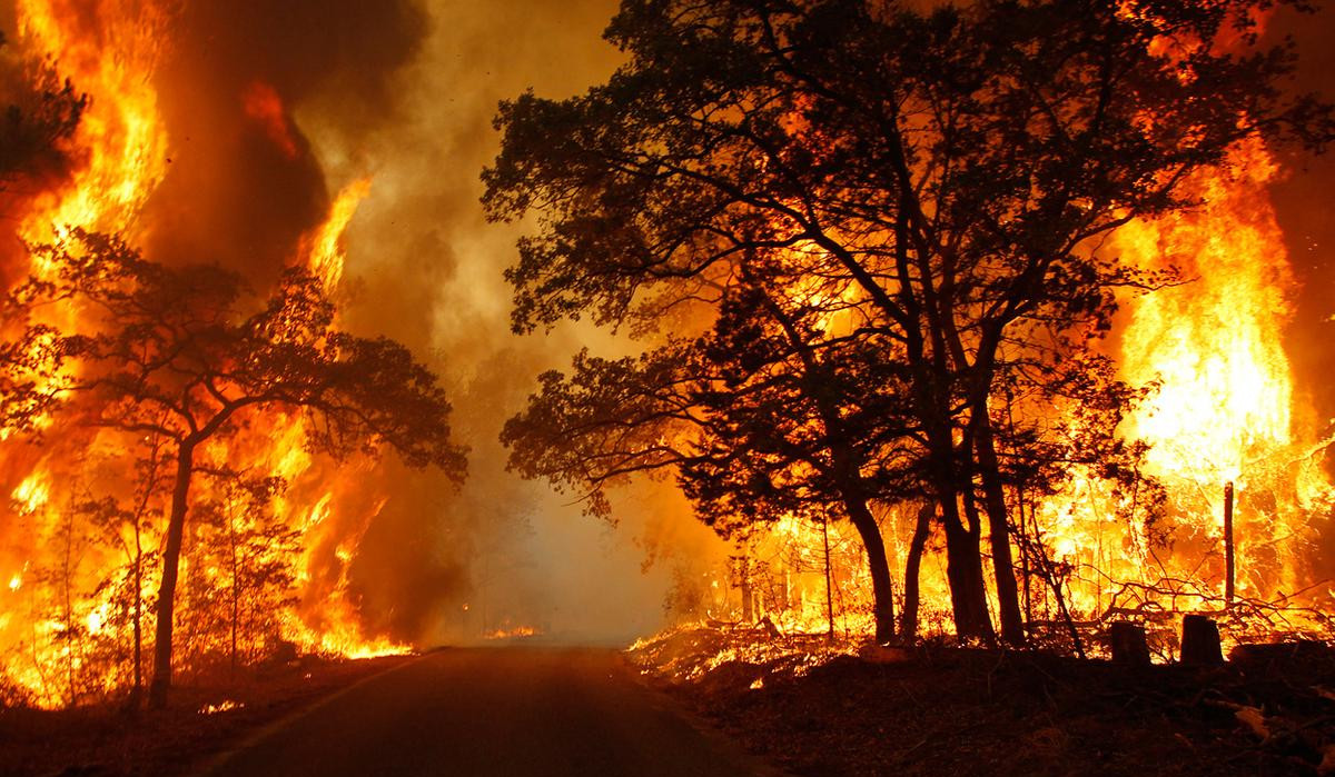 Texas is battling over 170 wildfires