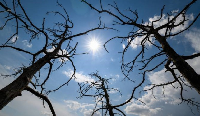 Օդի ջերմաստիճանը մարտի 25-29-ի ցերեկն աստիճանաբար կբարձրանա 6-10 աստիճանով