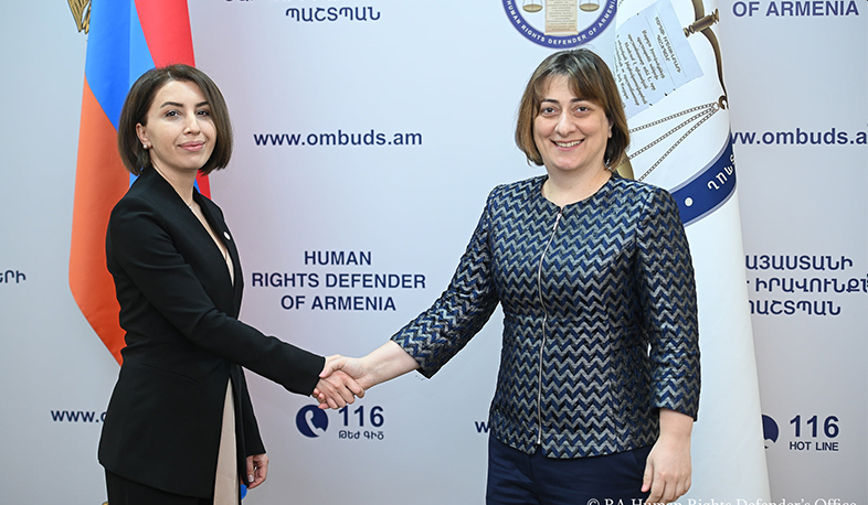 Armenia’s Ombudswoman briefed Natia Natsvlishvili on actions provoked by Azerbaijani side in Artsakh