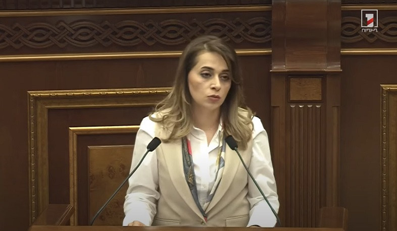 ՀԾԿՀ անդամի թափուր պաշտոնում առաջադրվել է Սեդա Շահինյանի թեկնածությունը