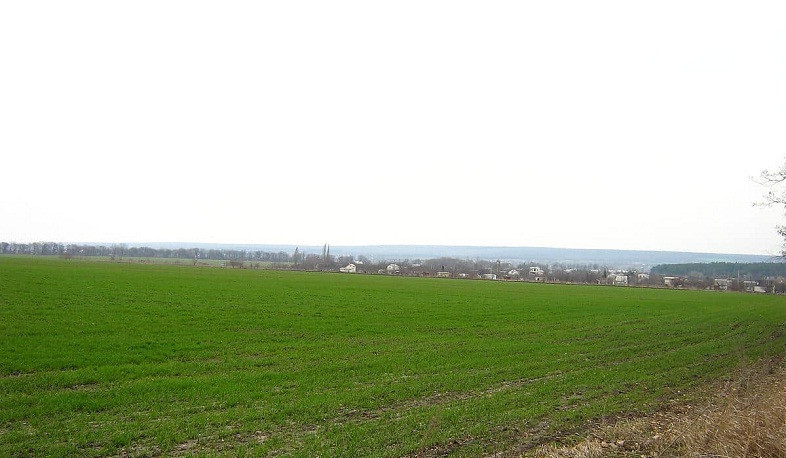 Հովտային շրջաններում սկսվել են բանջարանոցային մշակաբույսերի նախացանքային աշխատանքները