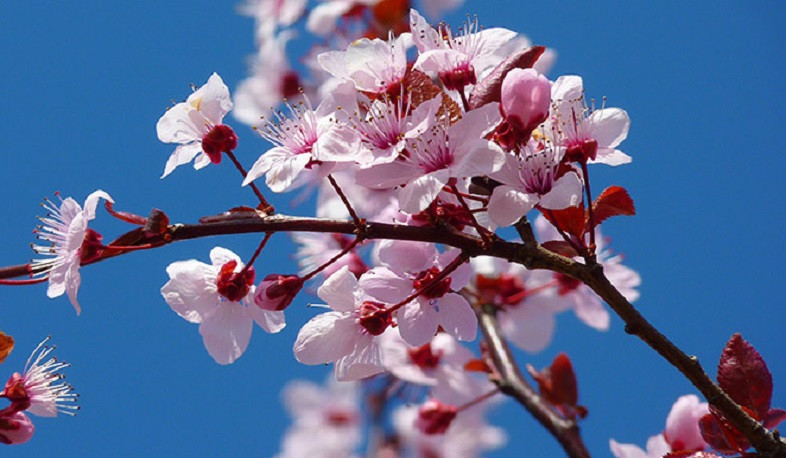 Օդի ջերմաստիճանը կբարձրանա 2-3 աստիճանով