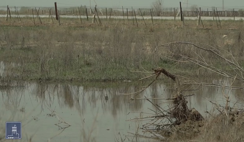 Հայաստանում մոտ 37 հազար հեկտար հողատարածք աղակալված է