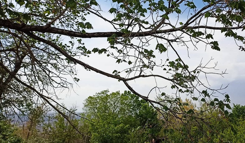 Ջերմաստիճանը ապրիլի 30-ին կբարձրանա 2-4 աստիճանով