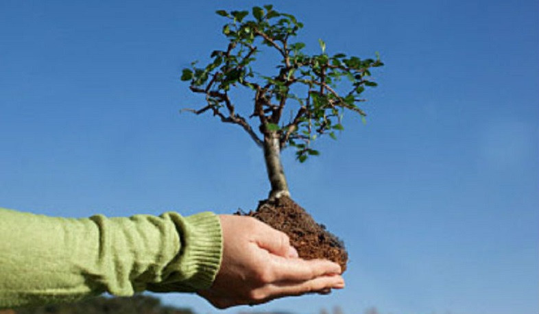 Մայիսի 7-ին կիրականացվի համապետական ծառատունկ