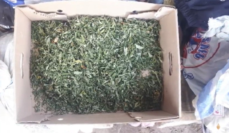 Ննջարանում կես կիլոգրամից ավելի մարիխուանա է հայտնաբերվել. ոստիկանների բացահայտումը