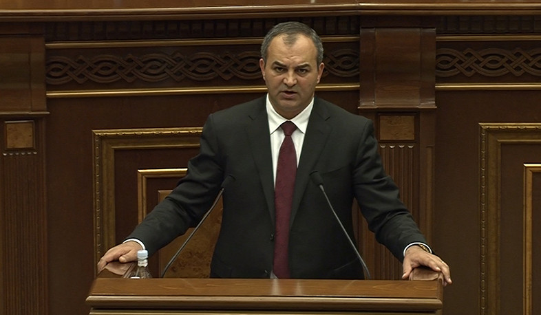 Բացարձակապես տեղին չեն մտահոգությունները, որ ծանր վիրավորանքը քրեականացվել է կոնկրետ անձանց պաշտպանելու համար. Դավթյան