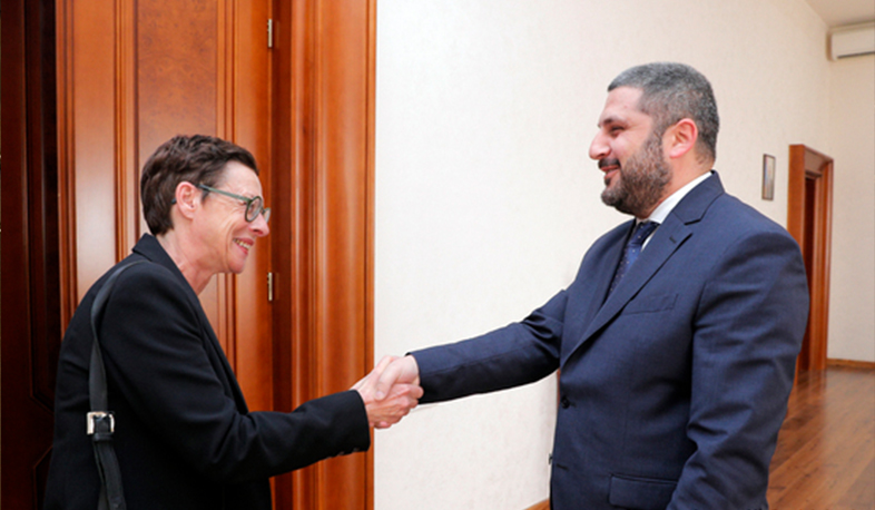 Արմեն Փամբուխչյանը և Անն Լույոն անդրադարձել են ԱԻՆ-ի բնագավառում հայ-ֆրանսիական համագործակցությանը