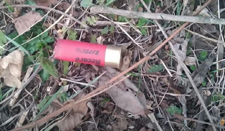 Կրակել էին գոմեշներին, մորթել ու միսն իրացրել մսամթերքի շուկայում