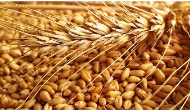 Վրաստանում հացահատիկի պաշարները սպառվում են