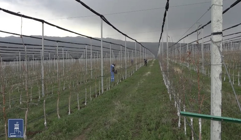 Գյուղաջակցության ծրագրերը շարունակվում են