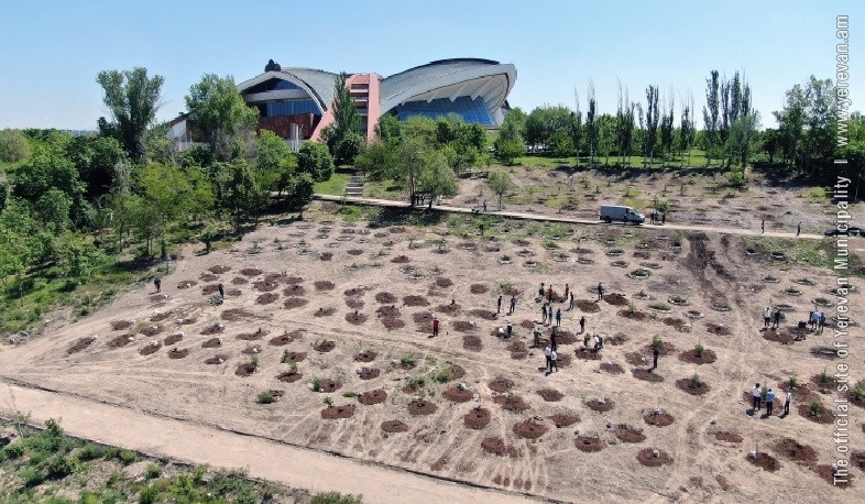 Ծիծեռնակաբերդի բարձունքում  420 ծառ և թուփ է տնկվել